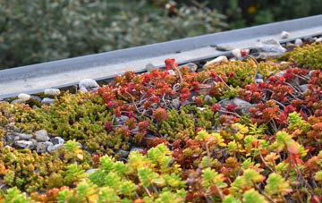 the cost of Great Fencote green roof installation